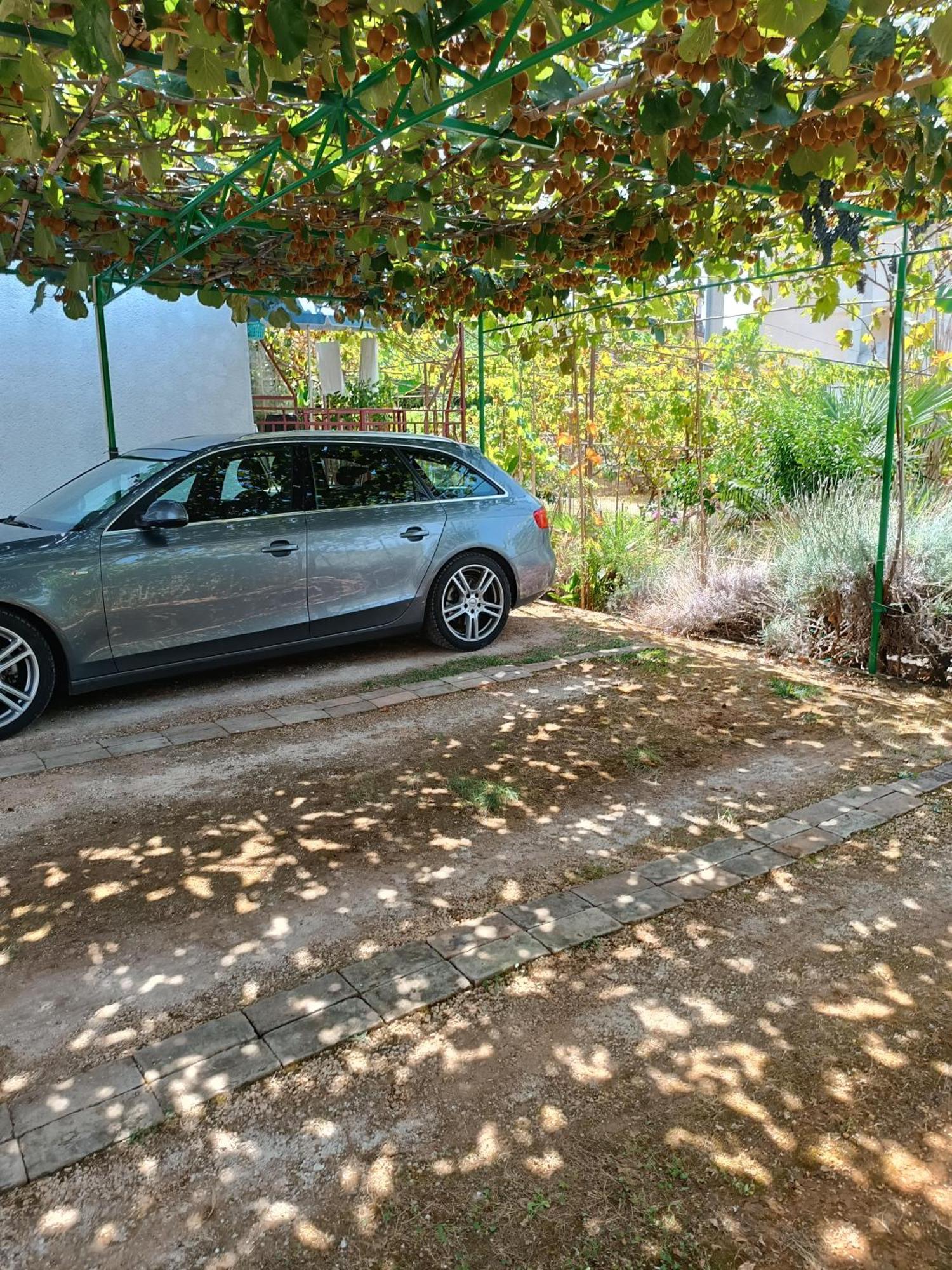 Levak - Apt. 1 Pješčana Uvala