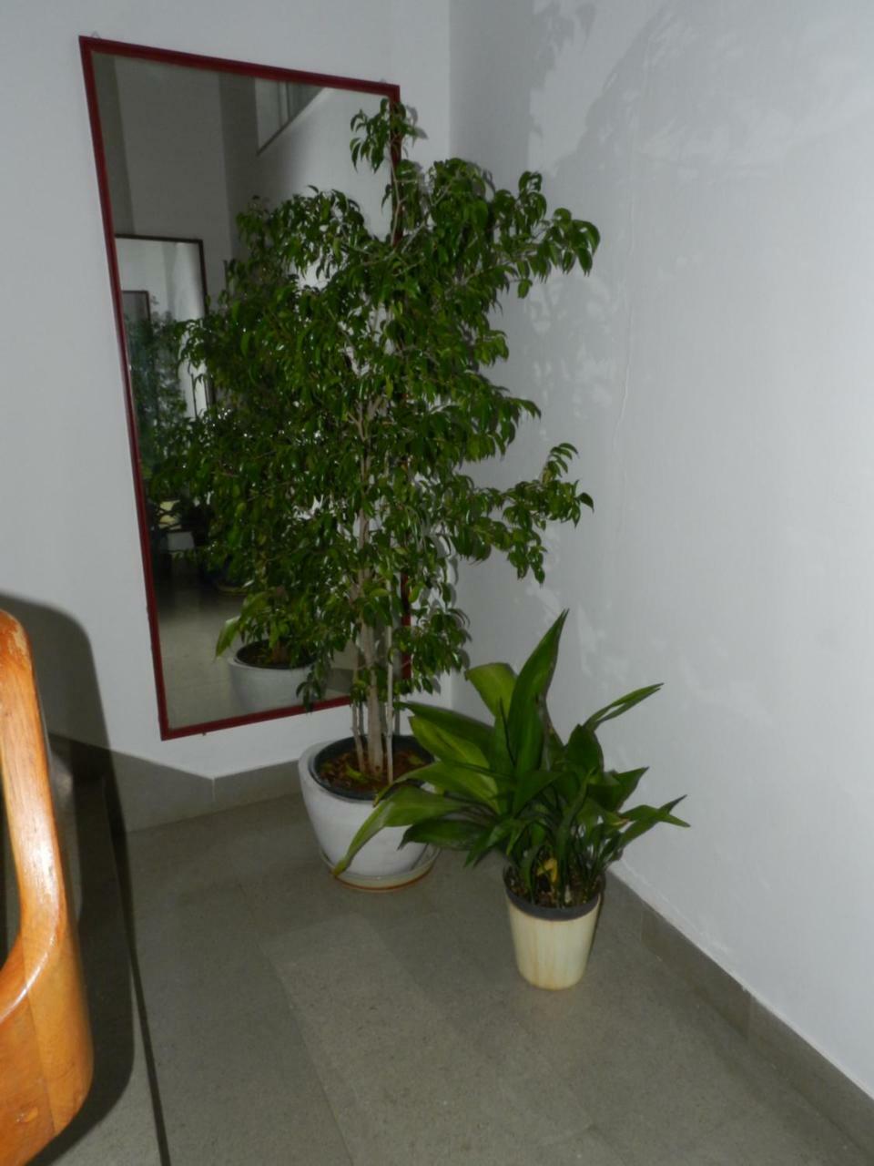 Apartman Levak - Apt. 1 *